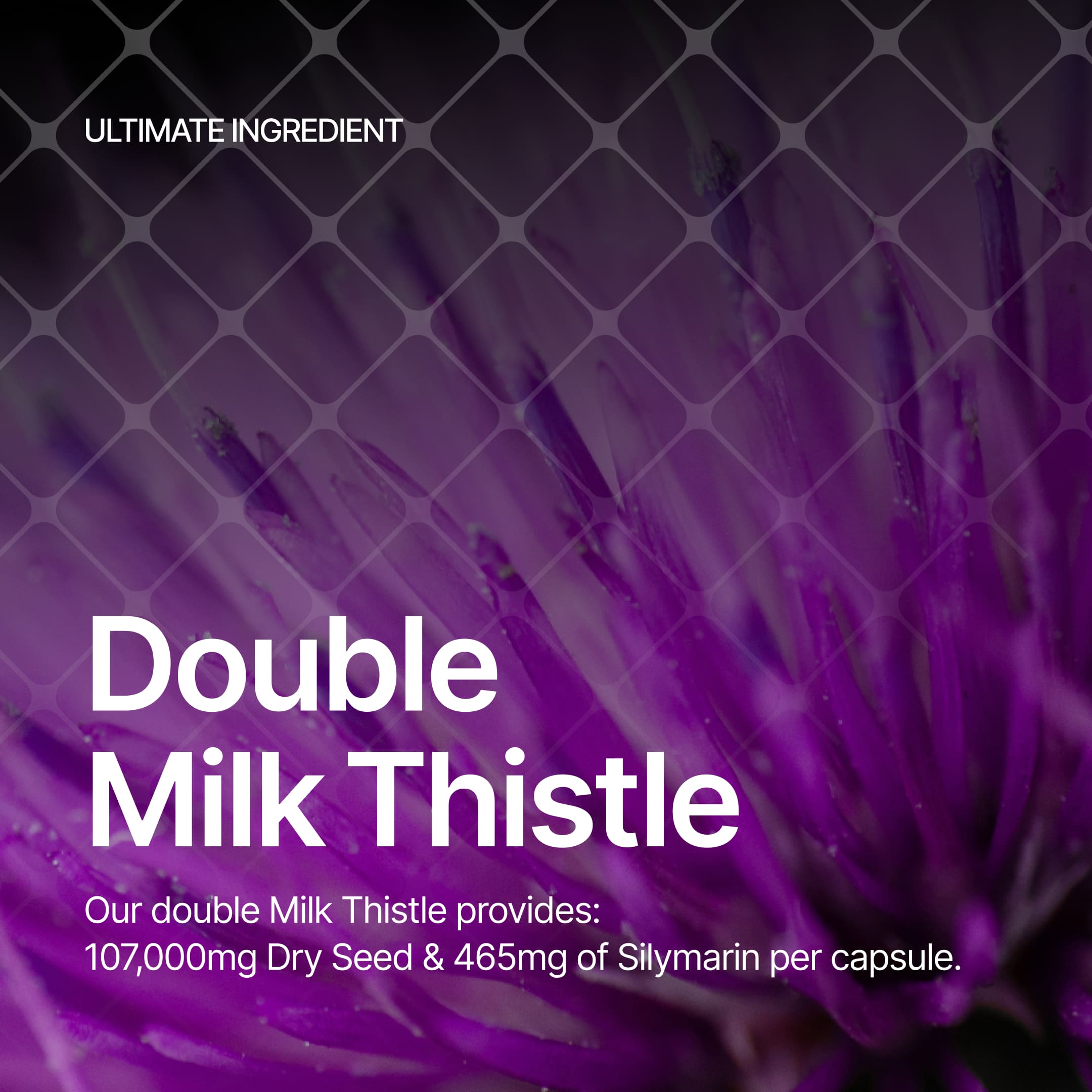 xBiotec® xThistle
