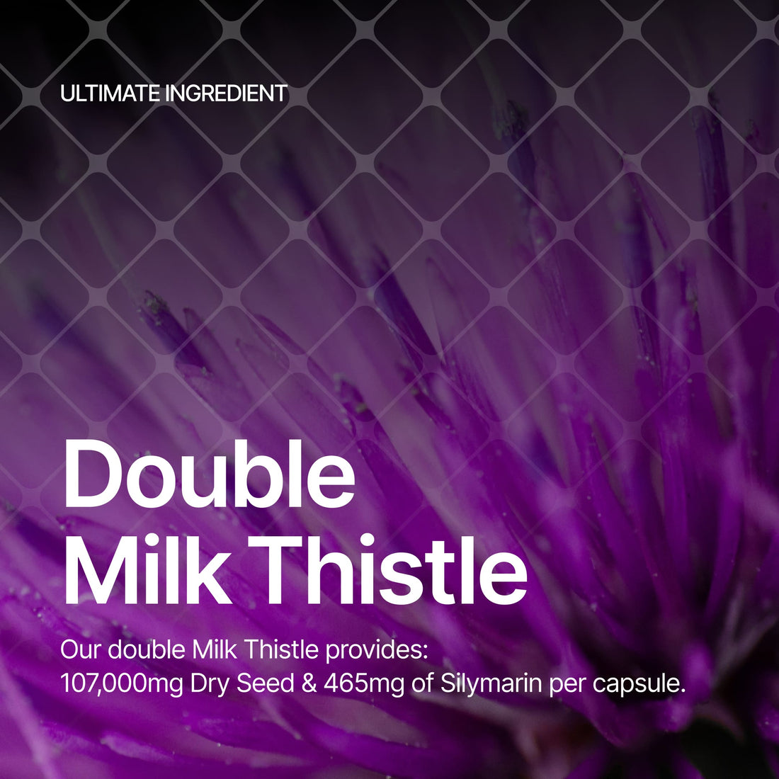 xBiotec® xThistle