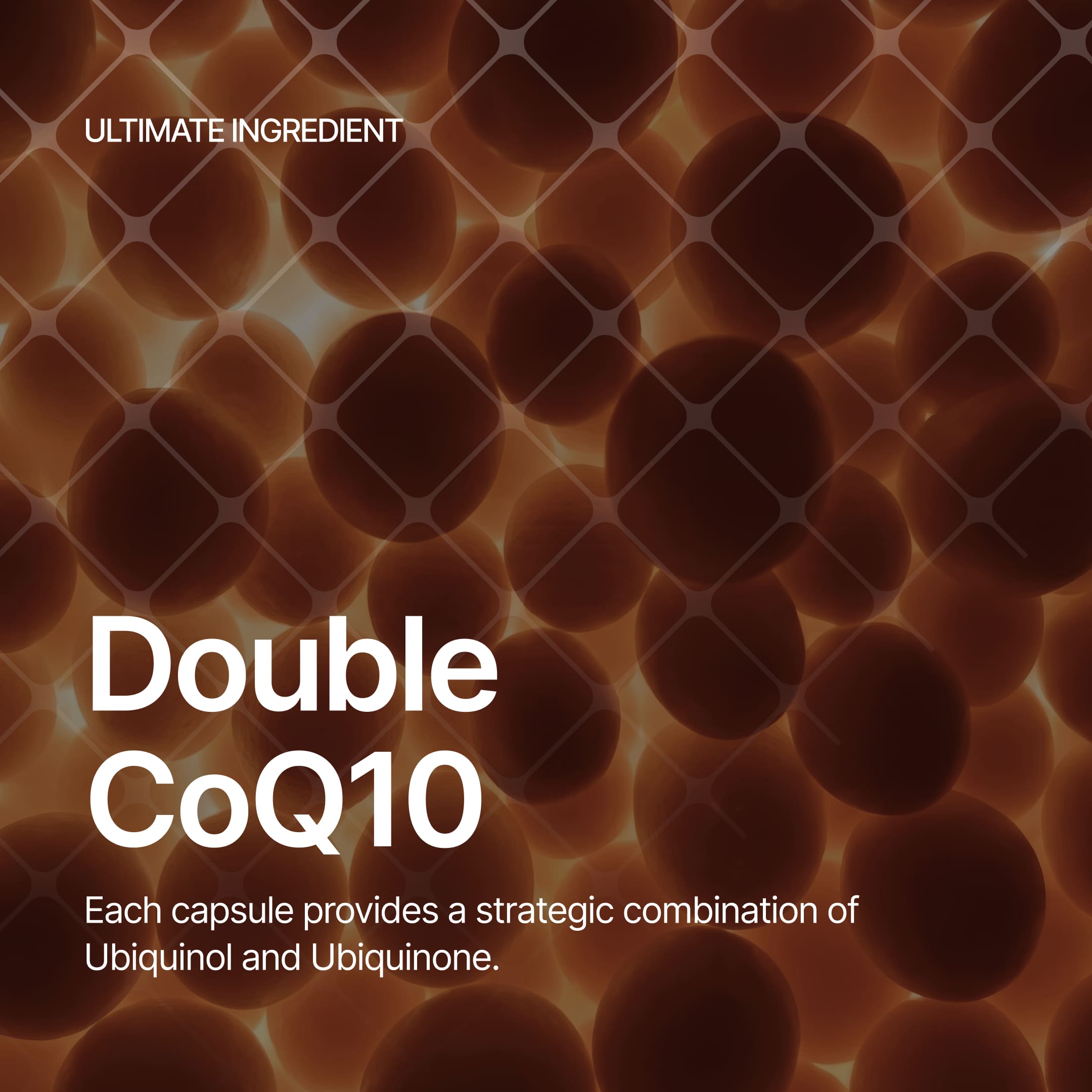 xBiotec® xUBIQUINOL